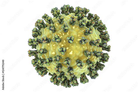 Parainfluenza virus isolated on white background, 3D illustration ...