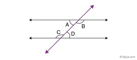 what are alternate interior angles - Maths - Lines and Angles - 997042 ...