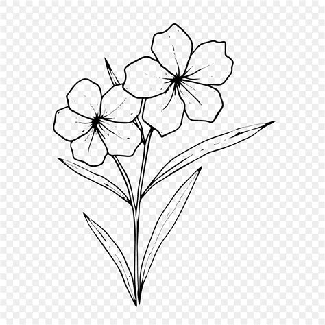 Beautiful Flower Sketch, Flower Drawing, Flower Sketch, Flower PNG and ...