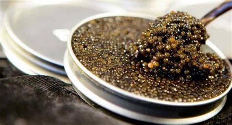 What Does Beluga Caviar Taste Like? – ItsFoodtastic