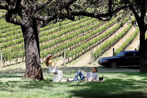 10 Best Sonoma County Wine Tours | Sonoma