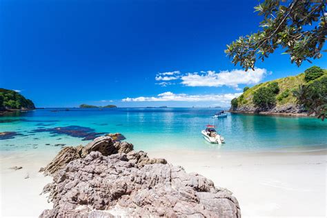 Explore our Beaches | Whitianga & Mercury Bay | The Coromandel