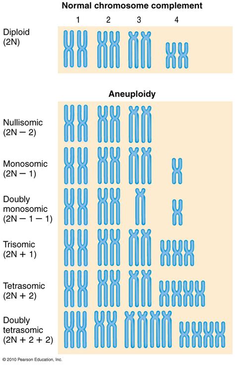 Aneuploid karyotypes