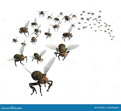 Swarm of Flies stock illustration. Illustration of arthropod - 5102782