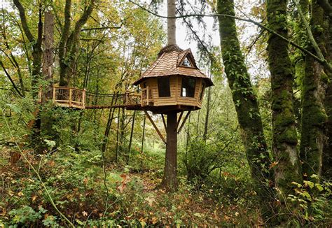 The Mystwood Treehouse — Wild Tree Woodworks - Custom Treehouse Builders