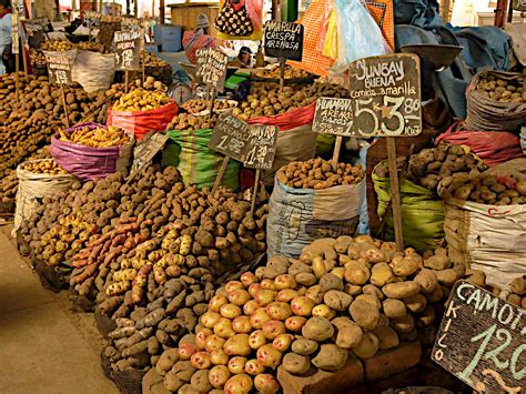 4000 Different Types of Potatoes in Peru | Peruvian Potatoes - Amazing ...