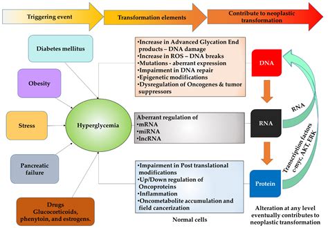 Cancers | Free Full-Text | Hyperglycemia Associated Metabolic and ...