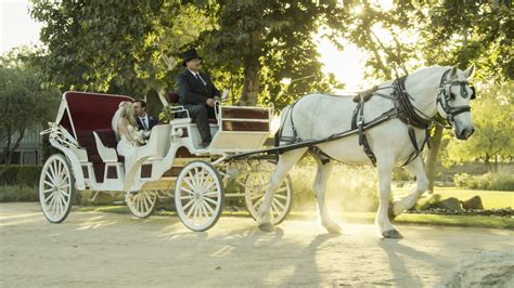 Free photo: White horse carriage - Carriage, Cart, Horse - Free ...