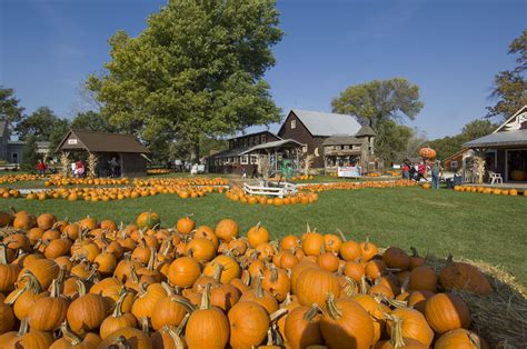 14 Nebraska Pumpkin Patches to Explore | Visit Nebraska