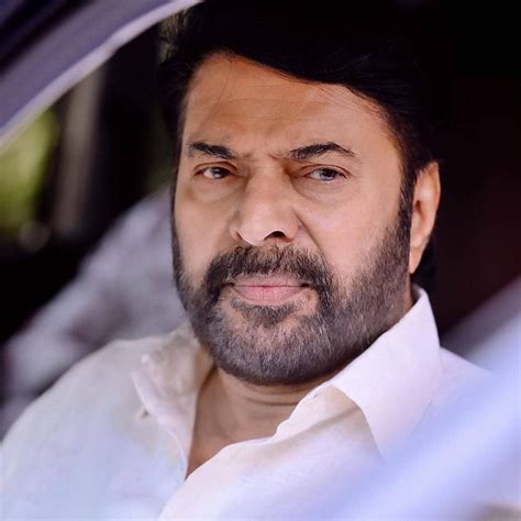 Mammukka Wallpapers - Wallpaper Cave