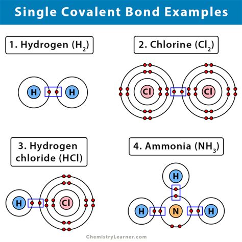 Single Covalent Bond: Definition and Examples