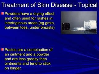 2.terminology used in dermatology rp | PPT