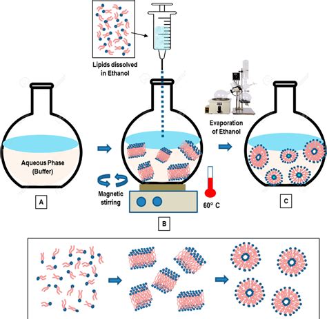 Figure 5 from Methods of Liposomes Preparation: Formation and Control ...