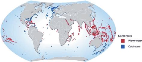 Coral Reef Maps Of The World - Topographic Map World