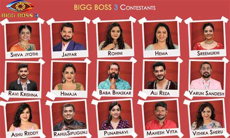 Bigg Boss Telugu Season 3: 15 Contestants and their profiles