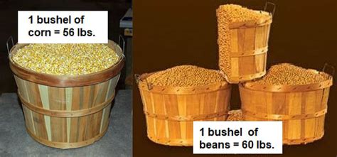 What Makes a Bushel?