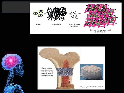 Biomaterials for tissue engineering slideshare