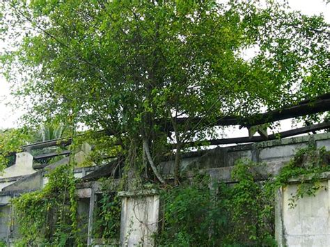 Public works building at Parit-Sulong The site of a Massac… | Flickr