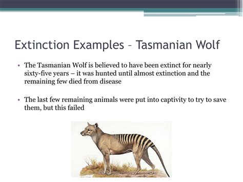 PPT - Extinction PowerPoint Presentation, free download - ID:2683963