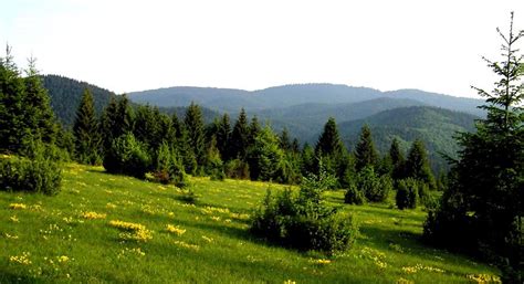 Zlatar Mountain - Serbia-touroperator