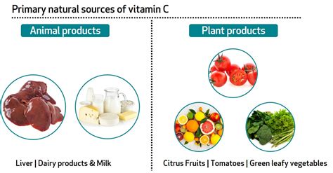 Benefits Of Vitamin C And Zinc | Sources Of Vitamin C | Bioanalyt