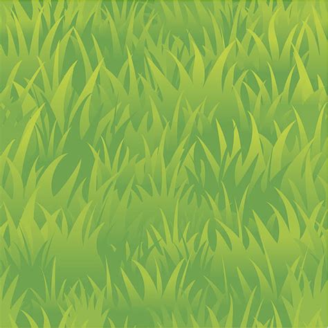 15,900+ Grass Texture Seamless Stock Illustrations, Royalty-Free Vector ...