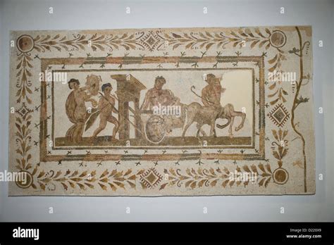 Mosaic in The Archaeological museum of El Djem or El Jem in Tunisia ...