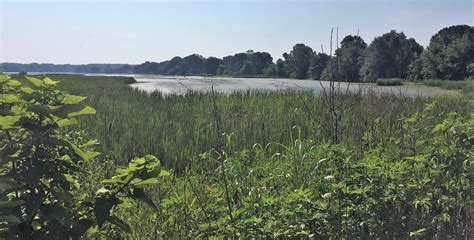 Wilson Lake - Muscle Shoals National Heritage Area