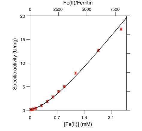 Specific activity of P. furiosus apoferritin as a function of initial ...