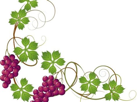 Vineyard Clipart Grape Leave - Grapes On Vine Clipart , Transparent ...