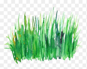 Leaves Of Grass Clipart Background