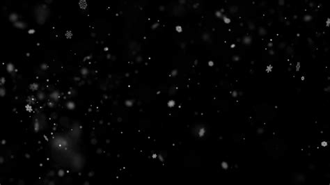 Snow Falling Overlay Snow Falling Overlays Stock Motion Graphics SBV ...