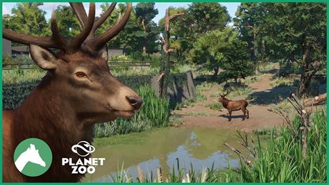 Red Deer Habitat | Elm Hill City Zoo | Planet Zoo - YouTube