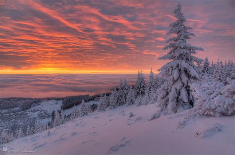 Beautiful Winter Sunrise Image Awarded Photo Of The Week Accolade ...