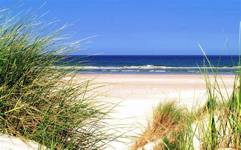 Top Beaches in The Netherlands - Netherlands Tourism