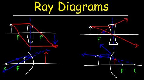 [DIAGRAM] Manta Ray Diagram - MYDIAGRAM.ONLINE