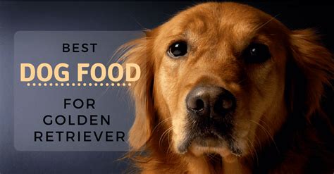 Best Dog Food For Golden Retriever 2020 – (The Quality Always Win ...