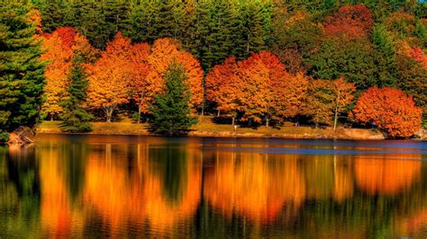 Colorful Autumn Leafed Trees Reflection On Calm Body Of Water During ...