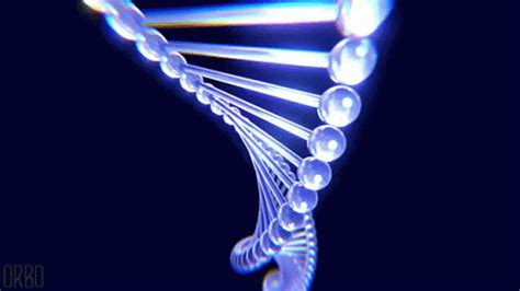 Spiral Dna GIF - Spiral DNA Guanine - Discover & Share GIFs