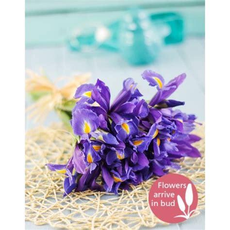 Blue Iris Bouquet | South Africa | inMotion Flowers