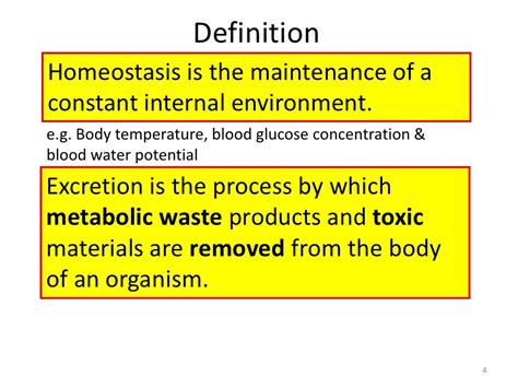 Overview of homeostasis & excretion