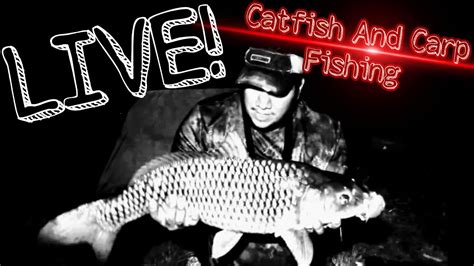 Catfish and Carp Fishing - YouTube