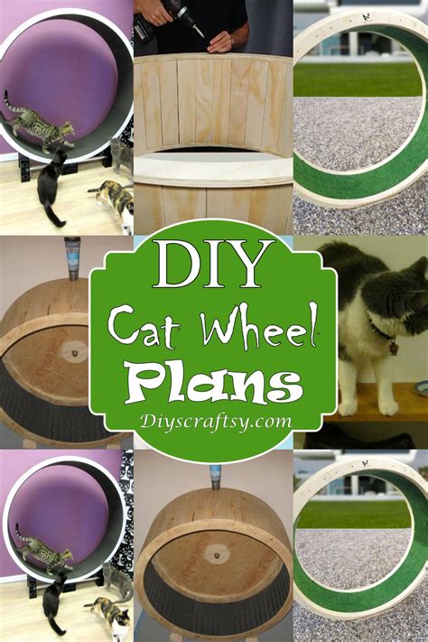 15 Best DIY Cat Wheel Plans For Felines Excercise - DIYS Craftsy