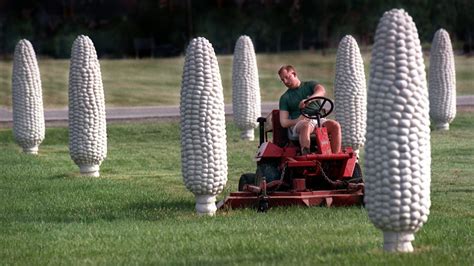 Ohio things to do: Dublin's "Field of Corn"