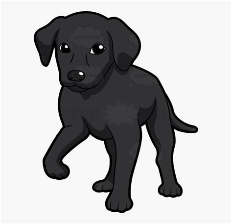 Cartoon Black Lab Puppy ~ Black Labrador Illustrations, Royalty-free ...