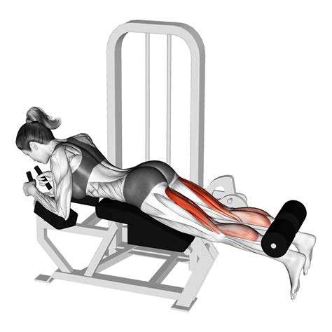 4 Effective Lying Leg Curl Alternatives For Hamstring Gains - Inspire US