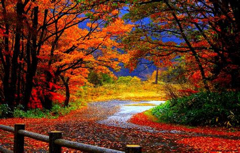 Autumn Wallpaper Hd Widescreen | Mega Wallpapers