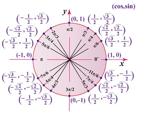 Unit 6 Worksheets 7 Using The Unit Circle