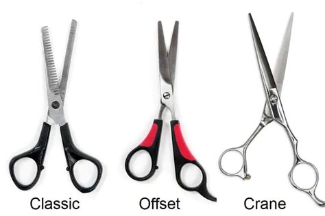 6 Different Types of Hair Cutting Scissors and Their Uses – HairstyleCamp