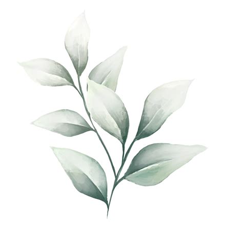 Watercolor leaves green 13812197 PNG